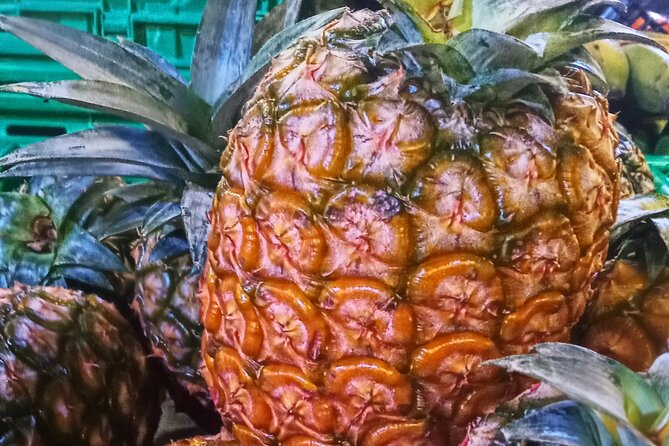 Regional food experience in Ponta Delgada - Practical tips to get the most out of it