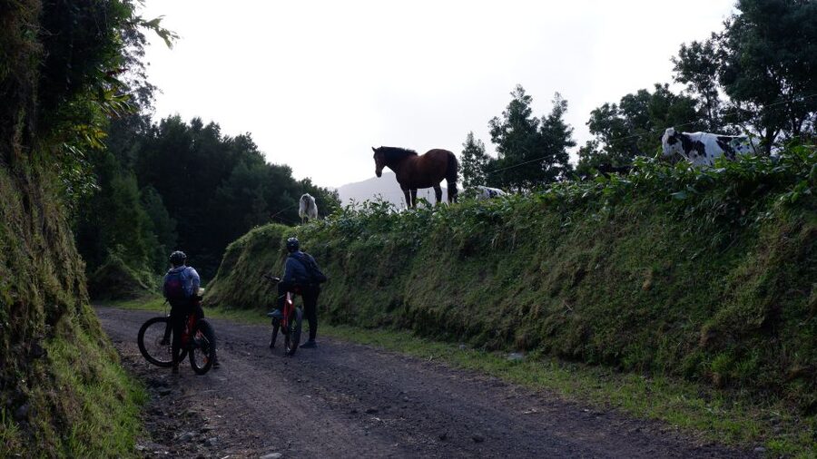 Ribeira Grande: Guided E-Bike Tour - Ribeira Grande Historic Centre: Churches, Bridges, and Everyday City Landmarks