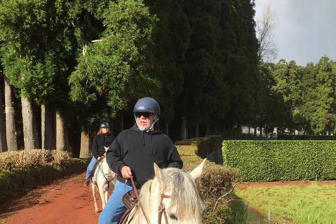ride a volcano - go to the gardens in the woods - Key highlights worth knowing