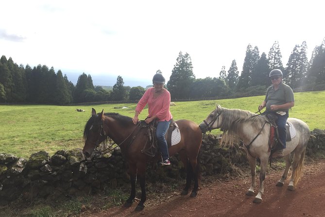 ride a volcano - go to the gardens in the woods - Brave bulls zone: what that means on the trail