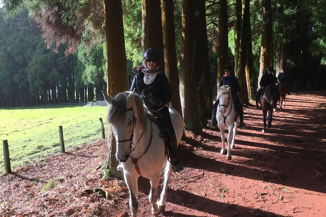 ride a volcano - go to the gardens in the woods - Price and value on Terceira: what you get for $179.74