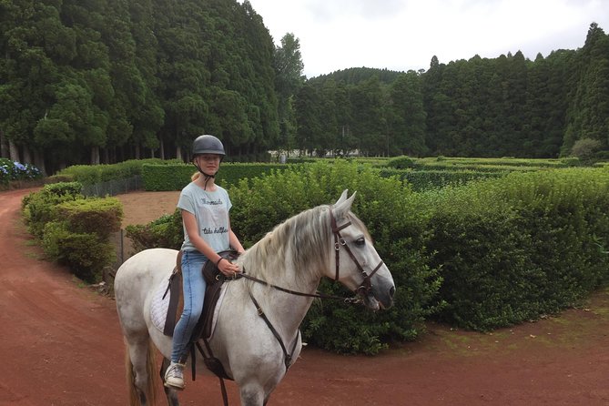 ride a volcano - go to the gardens in the woods - How the 467-meter climb and south-coast viewpoint work