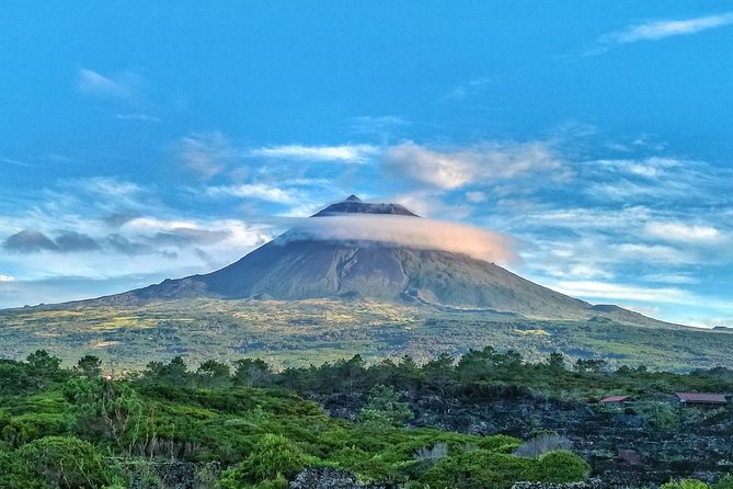 Route DA Pico Island - Lagoa do Capitão: calm water, tall trees, and an easy first stop