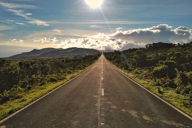 Route DA Pico Island - Reserva Florestal de Recreio da Prainha: a 30 minute walk that resets your senses