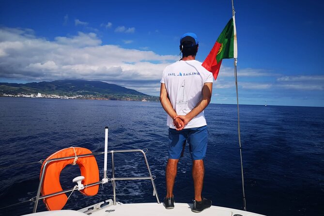 Sailboat trip from Ponta Delgada - Wildlife sightings: dolphins and porpoises can happen