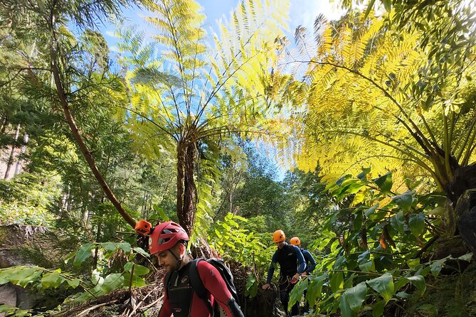 San Miguel : Level 2 Canyoning in Salto do Cabrito, Azores - Waterfall after waterfall: jumps, slides, and the 16-meter rapel moment