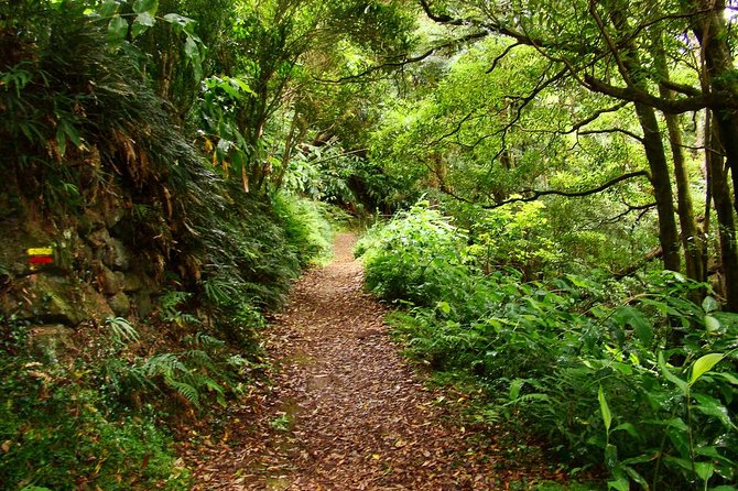 Sanguinho Hike from Ponta Delgada - A half-day hike that feels like a real day off in Sao Miguel