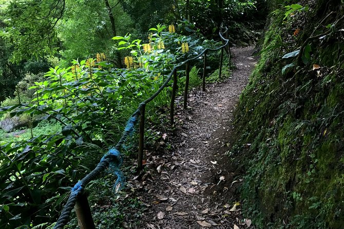 Sanguinho Hike from Ponta Delgada - Picos de Aventura: a quick launch into the hike