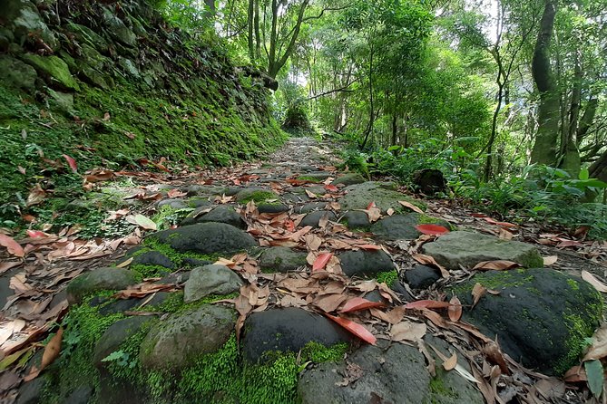 Sanguinho hike, Salto do Prego Waterfall and Furnas hotsprings - The hike route: Faial da Terra, Sanguinho, and the medium-difficulty reality