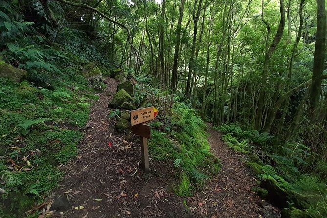 Sanguinho hike, Salto do Prego Waterfall and Furnas hotsprings - Stop 1: Miradouro do Salto do Cavalo, and why viewpoints matter