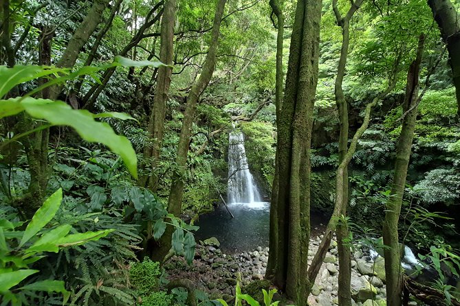 Sanguinho hike, Salto do Prego Waterfall and Furnas hotsprings - Stop 4: Furnas hot springs, plan for the €17 entrance