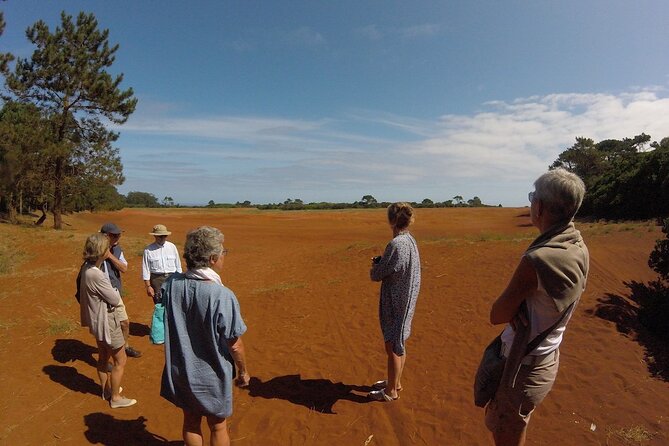 Santa Maria Island Jeep Safari Full Day Tour - Should you book this Santa Maria Island Jeep Safari?