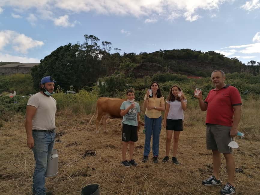 Sao Jorge Cheese Tour - Half day - Price and Value: Is $111 Worth It?