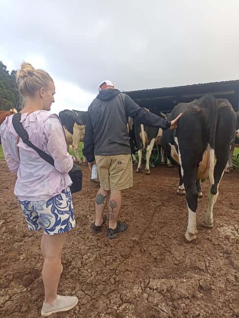 Sao Jorge Cheese Tour - Half day - What to Bring So You Stay Comfortable