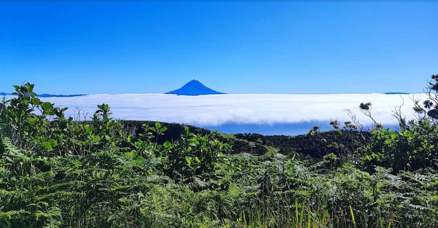 São Jorge: Island, Forest Reserve & Fajãs Guided Tour - Who this tour is best for (and who should reconsider)