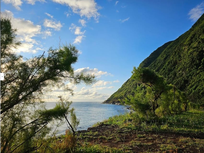 São Jorge: Island, Forest Reserve & Fajãs Guided Tour - A one-day circuit across São Jorge’s viewpoints and fajãs