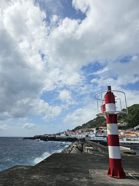 São Jorge: Island, Forest Reserve & Fajãs Guided Tour - Value for $129: what you’re really paying for