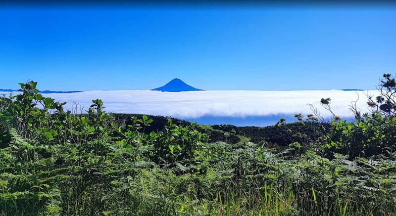 São Jorge Island Panoramic Adventure – 4 Hour Tour - União das Cooperativas da Beira cheese: optional flavor, clear logistics