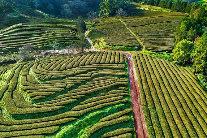São Miguel 2-Day Tour: Furnas, Sete Cidades, Fogo & Nordeste - Terra Nostra Pools, Pico do Ferro Views, and the Ribeira dos Caldeirões Walk