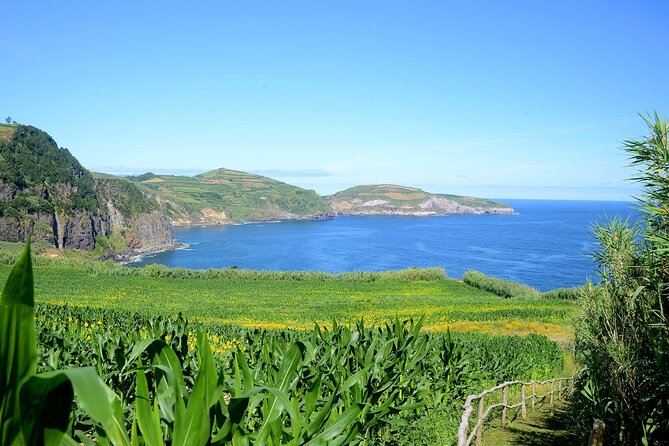 São Miguel Azores: Hike and Snorkeling into the wild with a local - Forest paths, waterfall time, and those soft details like hydrangeas