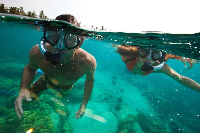 São Miguel Azores: Hike and Snorkeling with a local - A Four-Hour São Miguel Combo: Forest Hike to Volcanic Reef Snorkeling