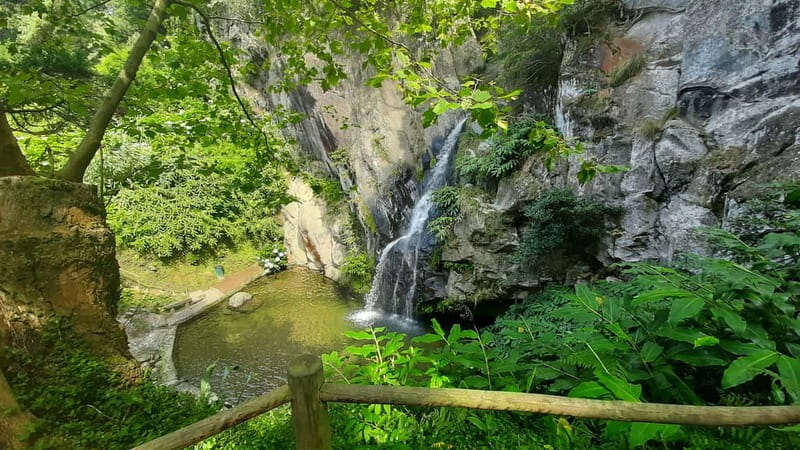São Miguel Azores: Hike and Snorkeling with a local - The Included Pickup, SUV Ride, and Gear That Make the Price Feel Fair