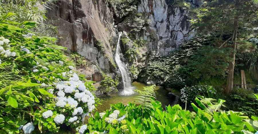 São Miguel Azores: Hike and Snorkeling with a local - Who This Tour Is Best For on São Miguel