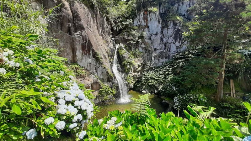 São Miguel Azores: Hike and Snorkeling with a local - Meeting an Azores-Certified Local Guide in a Small Group