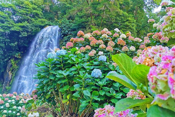 São Miguel, Azores - Private Tour 9 hours in 4 seats car "Exclusively for You" - Price for Up to 4: When It Feels Like Value