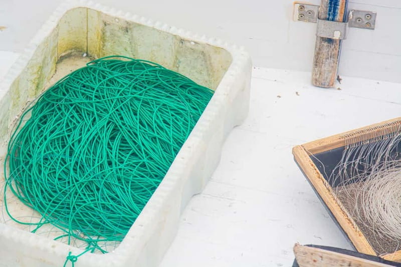 Sao Miguel: Azores Traditional Fishing - Half Day - Key highlights worth planning around