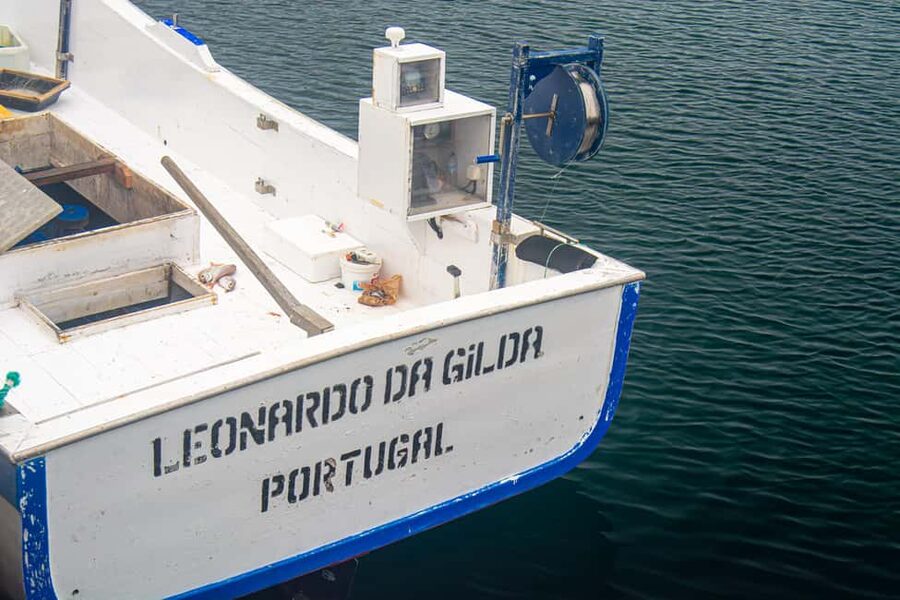 Sao Miguel: Azores Traditional Fishing - Half Day - The fishing method: traditional lines, not modern rods