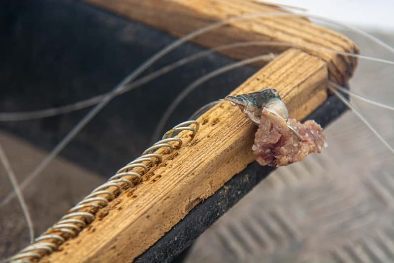 Sao Miguel: Azores Traditional Fishing - Half Day - Keeping your catch: the souvenir you can actually take home