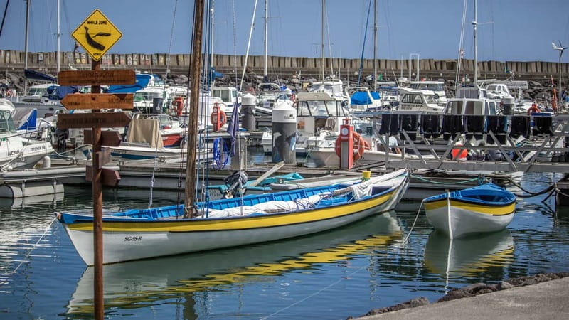 São Miguel: Azores Whaling Heritage & Lookout Legacy Tour - Key Things You’ll Notice on This Tour
