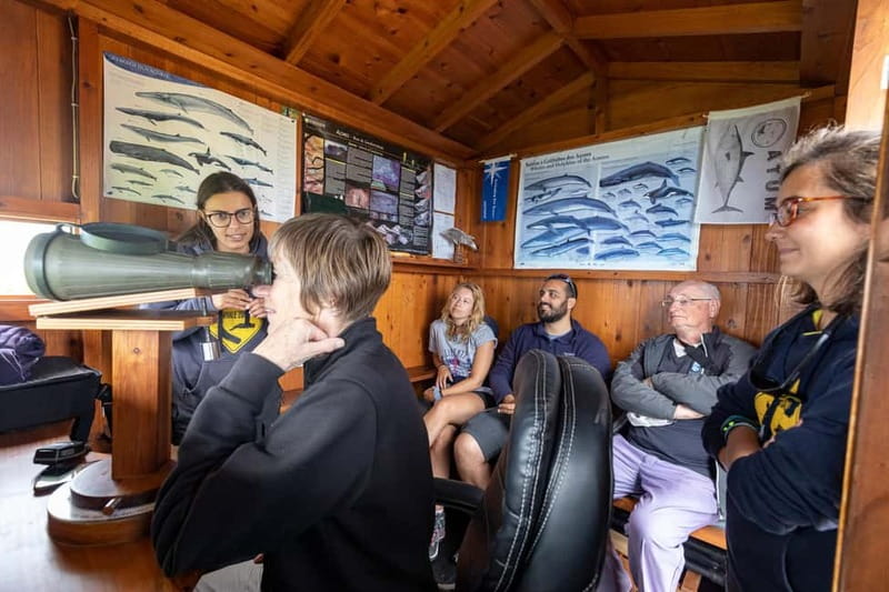 São Miguel: Azores Whaling Heritage & Lookout Legacy Tour - Price and Value: What $46 Buys in Real Experience