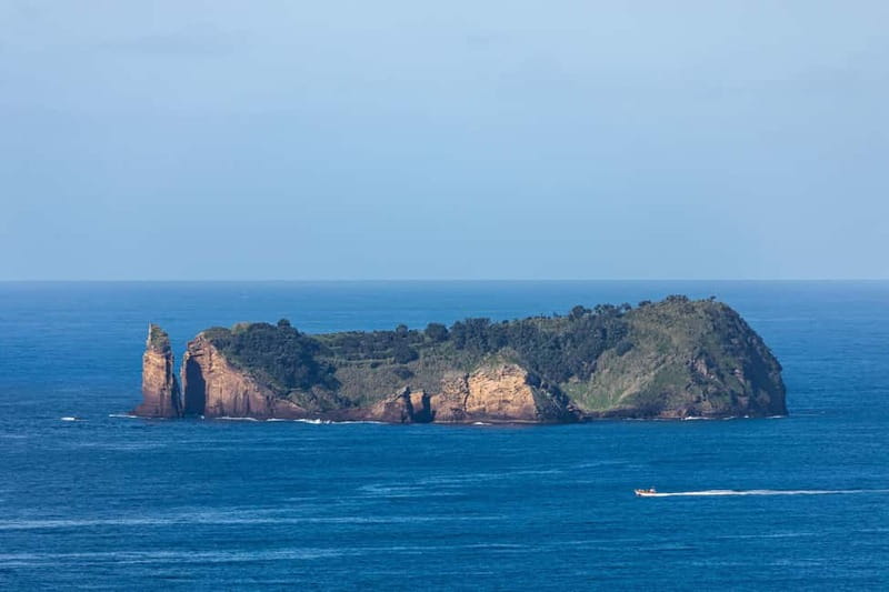 São Miguel: Azores Whaling Heritage & Lookout Legacy Tour - Who Should Book, and Who Might Prefer Another Plan