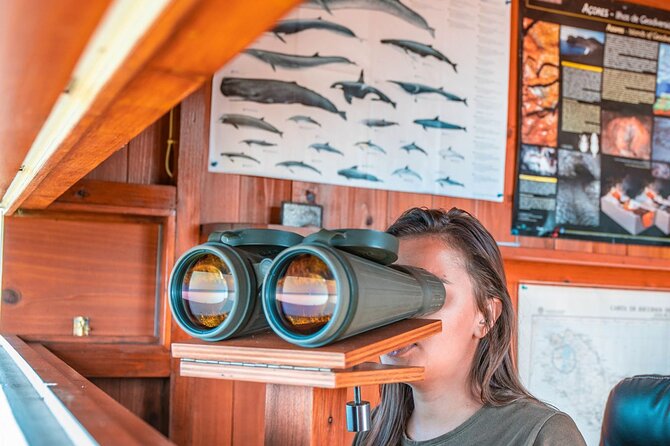 São Miguel: Azores Whaling & Lookout Legacy Tour - Stepping Onto the 1945 Whaleboat, Senhora de Fátima