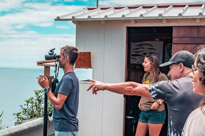 São Miguel: Azores Whaling & Lookout Legacy Tour - Who This Tour Suits Best in São Miguel
