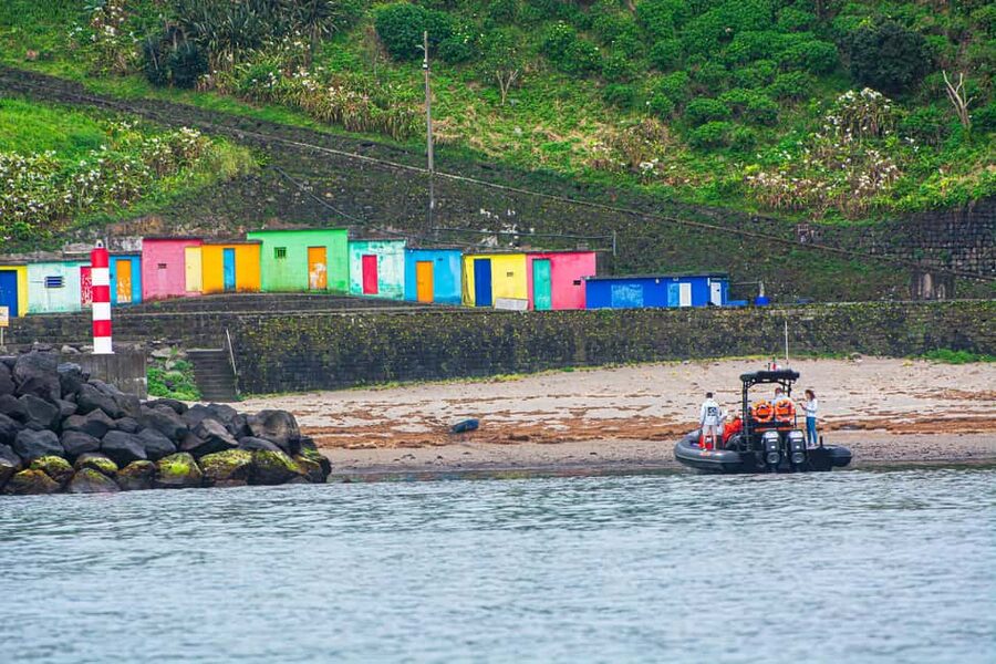 Sao Miguel: Boat Tour of the Wild & Hidden North Coast - Key highlights you will remember