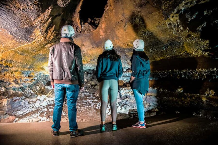 São Miguel: Botanical Gardens and Cave Tour - Botanical Gardens With a Volcanic Backdrop in Ponta Delgada