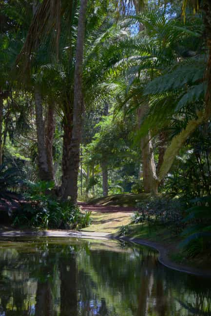 São Miguel: Botanical Gardens and Cave Tour - What to bring: comfort beats style in gardens and caves