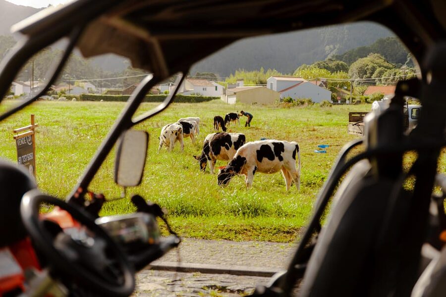 Sao Miguel: Buggy Tour Around Sete Cidades Volcano - The Small Break at Sete Cidades Village: A Nice Reset Point