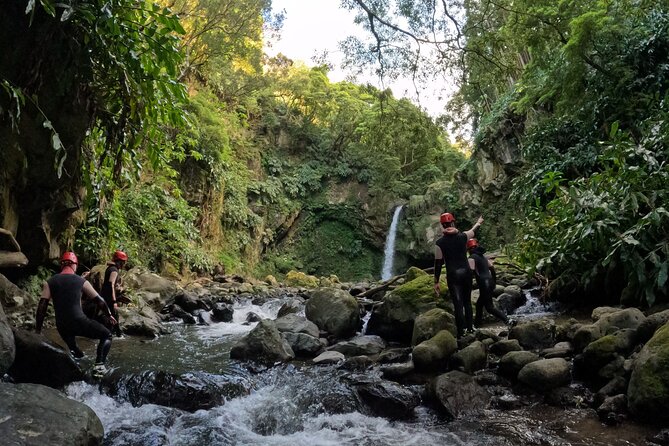 São Miguel Canyoneering Ascend in Moinho do Félix - The Guide Factor: Why Bruno Bagnari Oliveira’s Approach Changes the Day