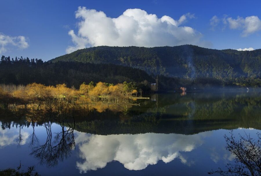 São Miguel East: Full-Day Van Tour with Lunch - Terra Nostra Versus Furnas Fields: Pick Your Style