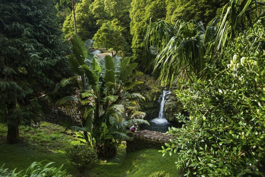 São Miguel East: Full-Day Van Tour with Lunch - Ribeira dos Caldeirões: Waterfalls and Walkable Nature
