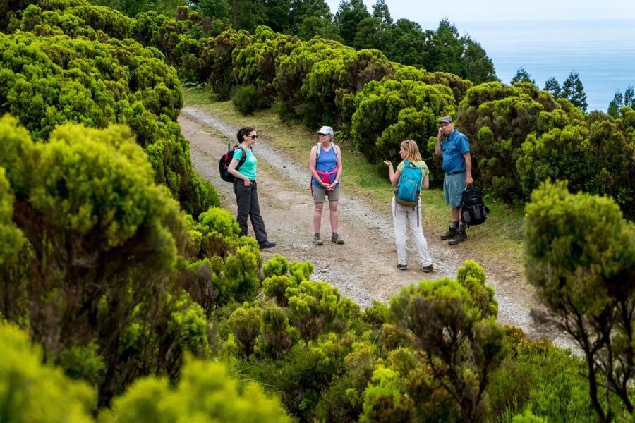 São Miguel: Full-Day Hike to Lagoa do Fogo - Getting there from Ponta Delgada: van ride, meet point, and timing