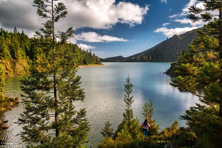 São Miguel: Full-Day Hike to Lagoa do Fogo - Fitness level and smart fit: who this hike suits best