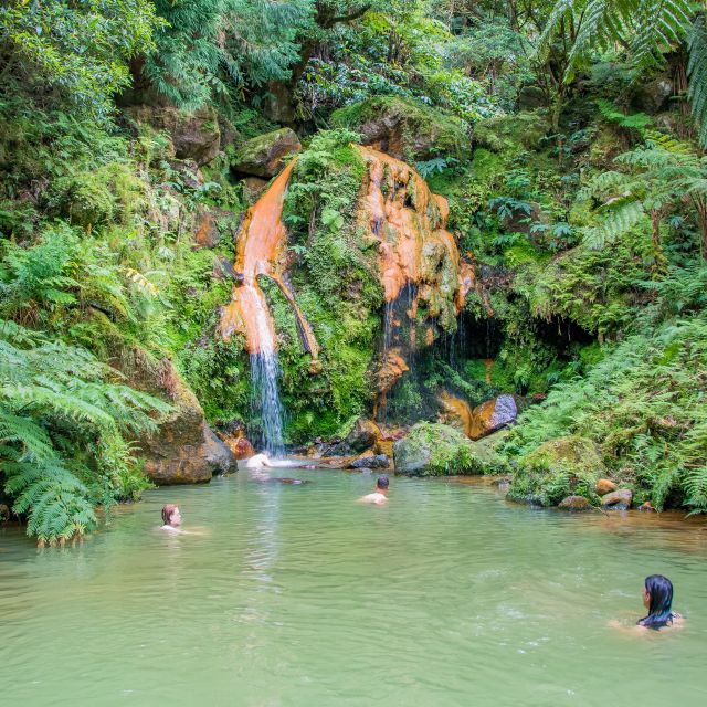São Miguel: Full-Day Tour to Sete Cidades and Lagoa do Fogo - Pineapple plantation in the Azores: more than a quick stop