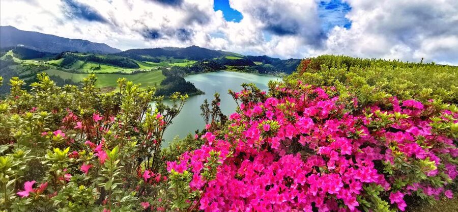 São Miguel: Furnas and Nordeste Full-Day Tour with Lunch - Lagoa das Furnas: seeing the island cook, slowly, for hours
