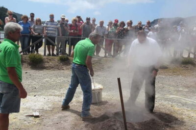 Furnas Volcano & Tea Plantation Tour with Lunch