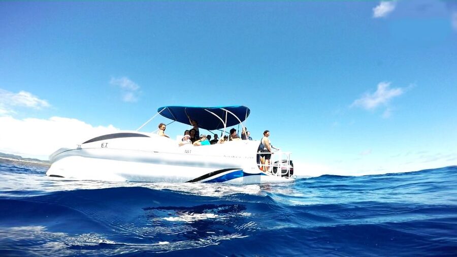 São Miguel: Glass Bottom Boat Tour with Snorkeling - The biologist part: learning that actually helps you see